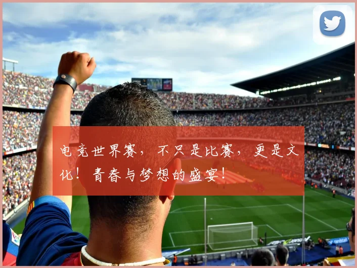 电竞世界赛，不只是比赛，更是文化！青春与梦想的盛宴！